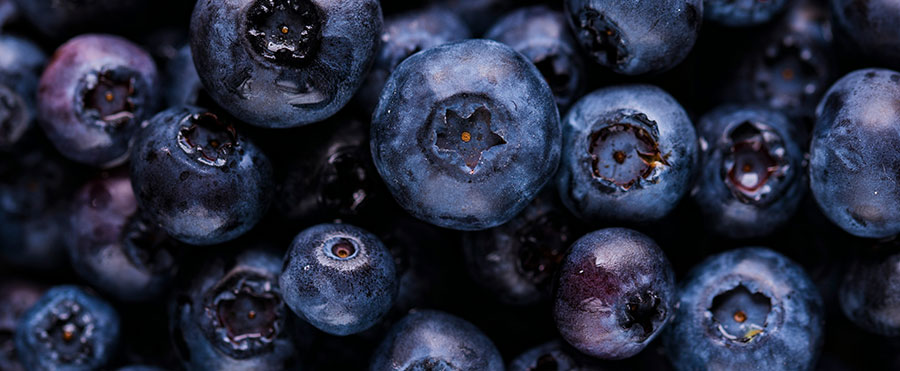 Clem’s Blueberry Recipes